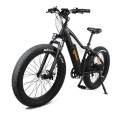 26 inch e bike electric bike 750W electric fat tire bicycle mountain ebike